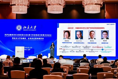 數(shù)字經(jīng)濟(jì)新引擎 2024拉薩金融商務(wù)區(qū)格?；ㄐ袆?dòng)招商引資洽談會(huì)啟航